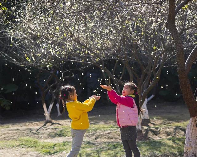 微信圖片_20180314150046.jpg 微信圖片_20180314150046.jpg