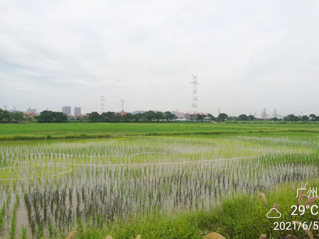 微信圖片_20210625154738.jpg 微信圖片_20210625154738.jpg